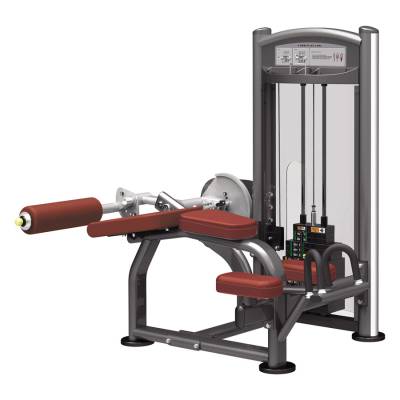 Сгибание ног лежа Aerofit IT9321 Сгибание ног лежа Aerofit IT9321 Тренажёр является воплощением профессионализма, стиля и надёжности. Обладает устойчивой конструкцией и современным дизайном.
Прочная структура рамы изготовлена из стальных труб. Параметры профиля труб: 5×10 см, стенки толщиной 0,3 см. Новейшая технология сварки позволяет достичь наивысшей точности.
Новейший порошковый способ покраски рамы позволяет создать лучшее сцепление металла с поверхностью, покрытой лаком.