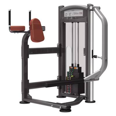 Ягодичные Aerofit IT9326 Тренажёр является воплощением профессионализма, стиля и надёжности. Обладает устойчивой конструкцией и современным дизайном.

Прочная структура рамы изготовлена из стальных труб. Параметры профиля труб: 5&times;10 см, стенки толщиной 0,3 см. Новейшая технология сварки позволяет достичь наивысшей точности.

Новейший порошковый способ покраски рамы позволяет создать лучшее сцепление металла с поверхностью, покрытой лаком.

Размеры &ndash; 107,5&times;105,3&times;148,5 см;
Весовой стек &ndash; 91 кг (200 ф).
