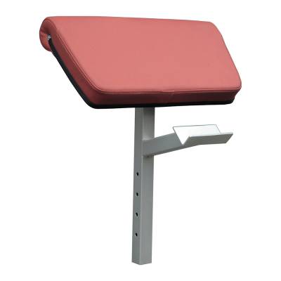 Опция для IFFID, IFOB - парта для бицепса Aerofit IFARMA Прочный конструктив рамы изготовлен из стальных труб. Параметры профиля: 60&times;60&times;2,5 мм, 51&times;76&times;2,5 мм. Новейшая роботизированная технология сварки позволяет достичь наивысшей точности.

Мягкие детали тренажёра изготовлены из крепкого винилового материала.

Крепкая эргономическая подушка для рук.
